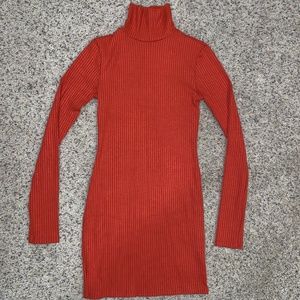 Turtle neck dress NWOT